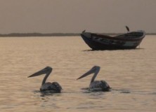 Diapo : Quelques images, paysages, visages de Casamance