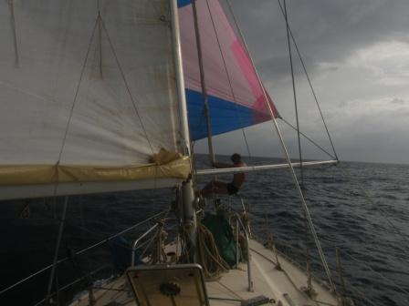 construire un abri pour tortue de terre